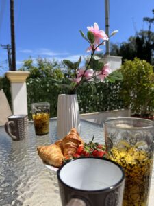 IMG_5081